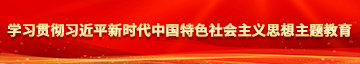 大鸡巴操女人逼一级片视频学习贯彻习近平新时代中国特色社会主义思想主题教育